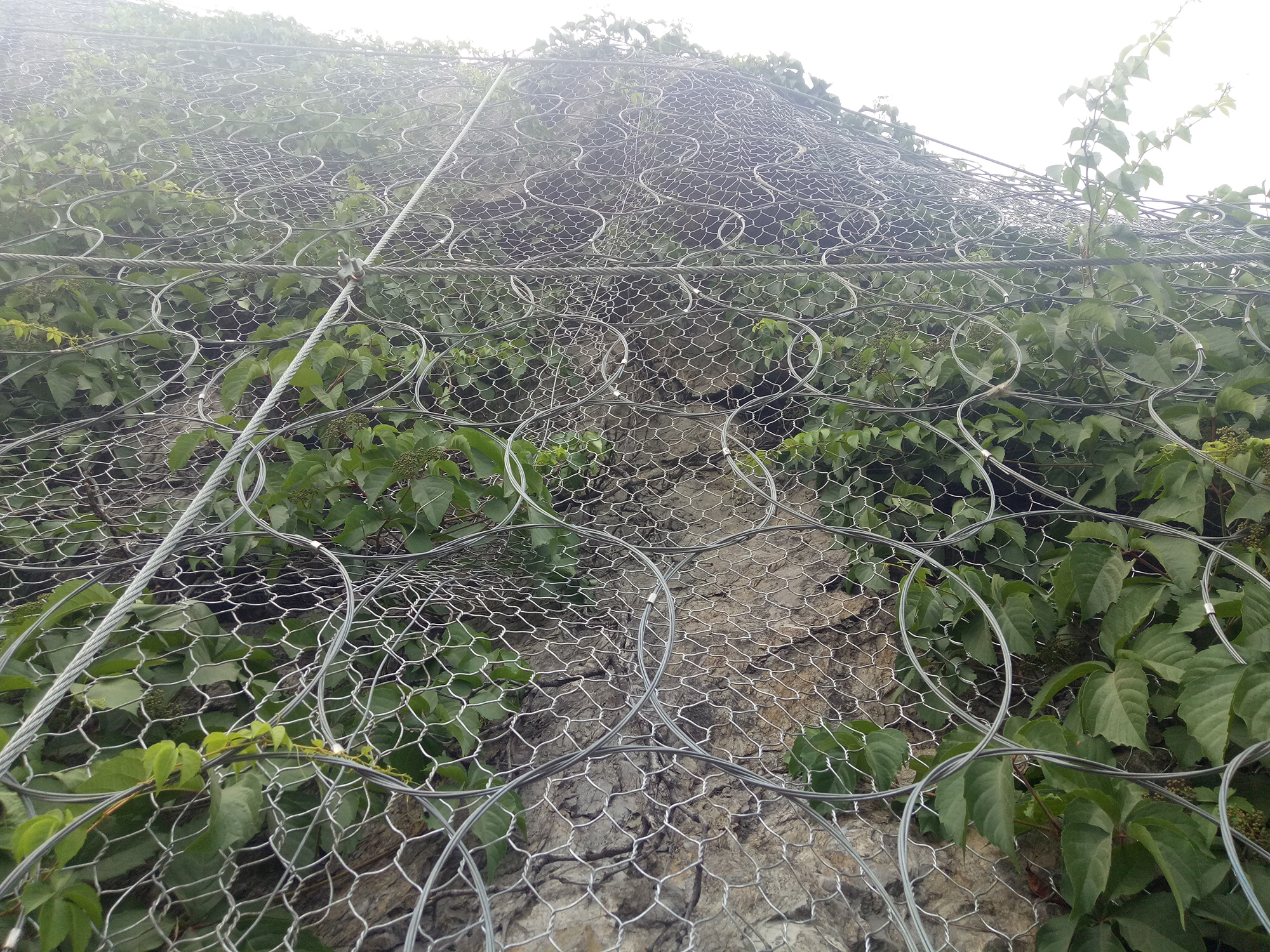 wʽW